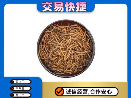 东莞回收散虫草